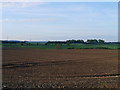 Tilled Land Near Langrig