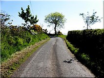 H6075 : Loughmacrory Road by Kenneth  Allen
