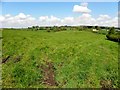 Granagh Townland