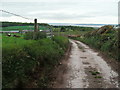 The Delamere Way crosses a farm track at Mickledale