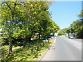 Shaldon Road towards Netherton