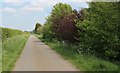 SK8428 : Unnamed Road towards Heath Farm by J.Hannan-Briggs