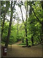 Green Chain Walk, Ravensbourne