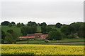 Thorganby from the bridleway to Swinhope