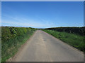 Looking along the country road west of East Ancroft