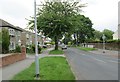 Fitzroy Drive - viewed from Thorn Lane