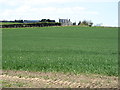 Fields below Standwell Farm