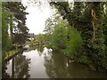 River Wey at Weybridge