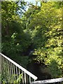 River Okement at Beare Bridge, Okehampton