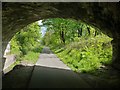 Under the road bridge