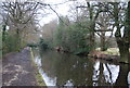 Basingstoke Canal