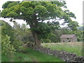 Field barn north of New House Farm