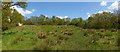 Grassy space near Helensburgh