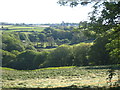 The wooded valley at Roseladden