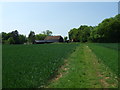 Approaching Tendrings Farm