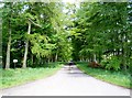 Driveway to Lundie Castle