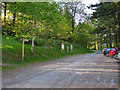 Forestry track and car park, Cwm Rhaeadr forest