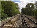 Railway at Wey Meadows