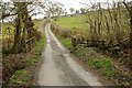 Road near Pen-yr-heol-wen