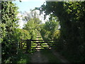 Footpath towards Grange Farm