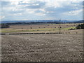 NZ0366 : Farmland north of Newton Fell House by Mike Quinn