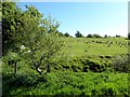 Teebane East Townland