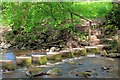 Stepping Stones, Waskerley Beck