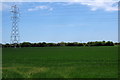 Pylon in an arable field