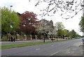 Groby Road passes Gilroes Cemetery and Crematorium