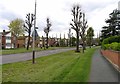 Anstey Lane towards Anstey