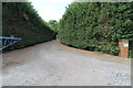 Tall Hedges at entrance to Lady Croft Farm