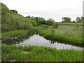 View from a hide, Tophill Low