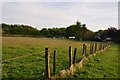 West Somerset : Grassy Field