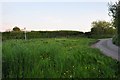 West Somerset : Country Road