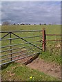 Gate off Warmingham Lane