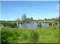 Lake in the Nature Reserve