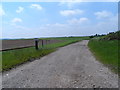 Track to the south of Feltwell golf course