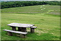 Picnic bench overlooking the Legacy Thrift