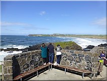 C9242 : Watching the sea at Portballintrae by Kenneth  Allen