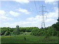 TQ0285 : Pylon near Denham by Malc McDonald