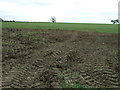 Farmland off Gipsy Lane