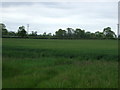 TF0297 : Farmland, South Kelsey Carrs by JThomas