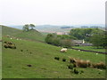 Walltown from Walltown Crags