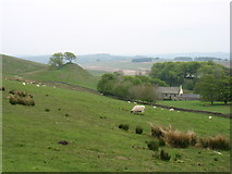 NY6766 : Walltown from Walltown Crags by David Purchase
