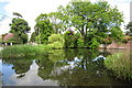 Wingrave village pond