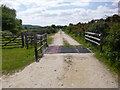 Norden, cattle grid