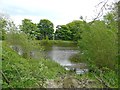 Reservoir off Broad Lane