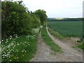 Track towards Somerby Low Farm