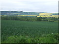 Farmland, Roseholme Farm