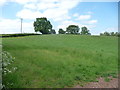 View to the tumulus near Raglan Lodge